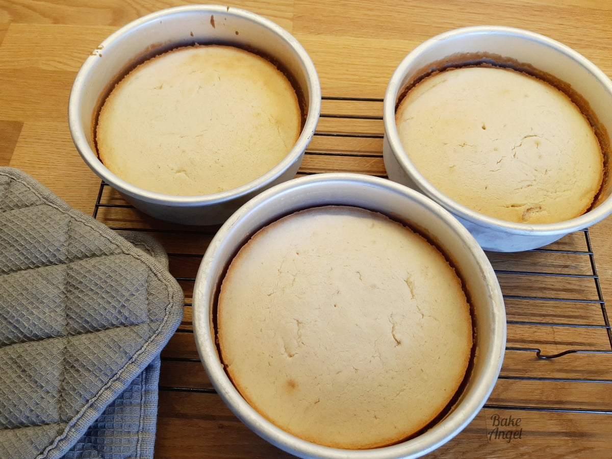 Showing 3 freshy baked vegan vanilla cakes in their pans. 