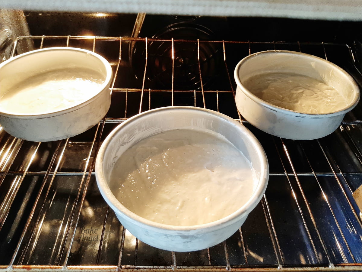 Three 6 inch cake pans in the oven ready to bake. 