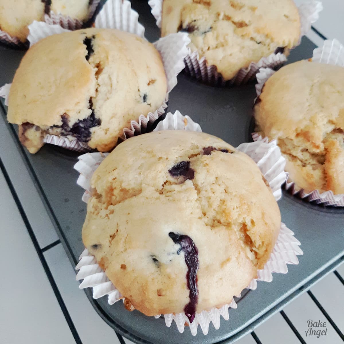 Dairy Free Blueberry Burst Muffins in a muffin tray with bluerry compote oozing out of the top.