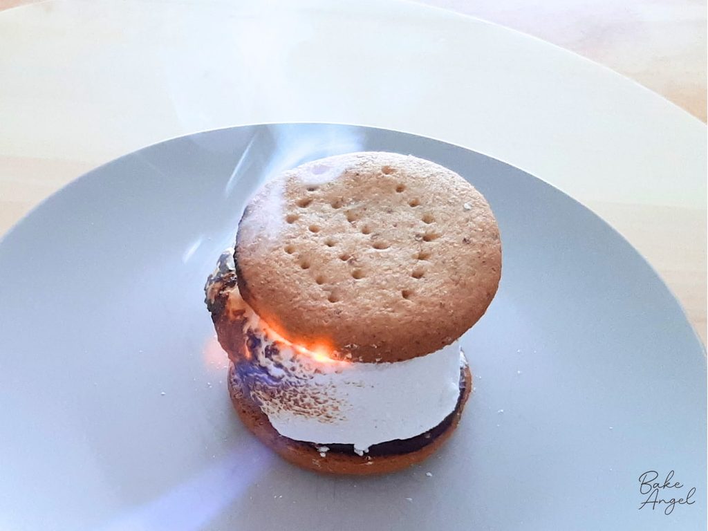 A marshmallow on fire to show the toasting process.