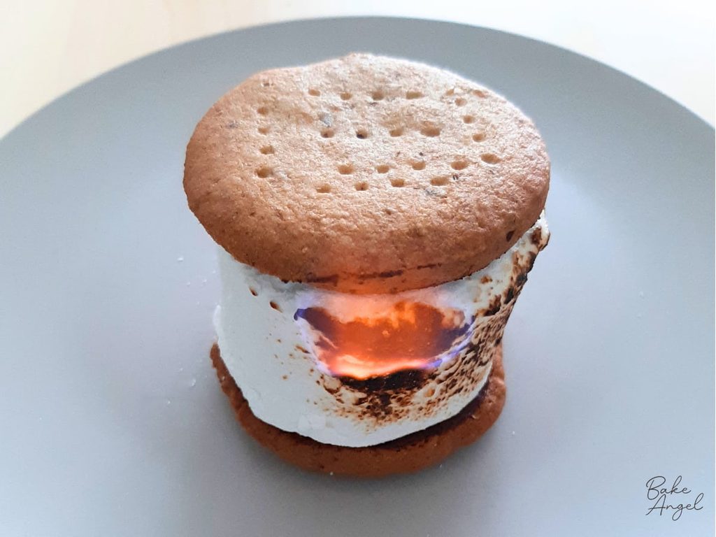Close up of a marshmallow on fire to show the toasting process. Parts of the marshmallow are golden brown.